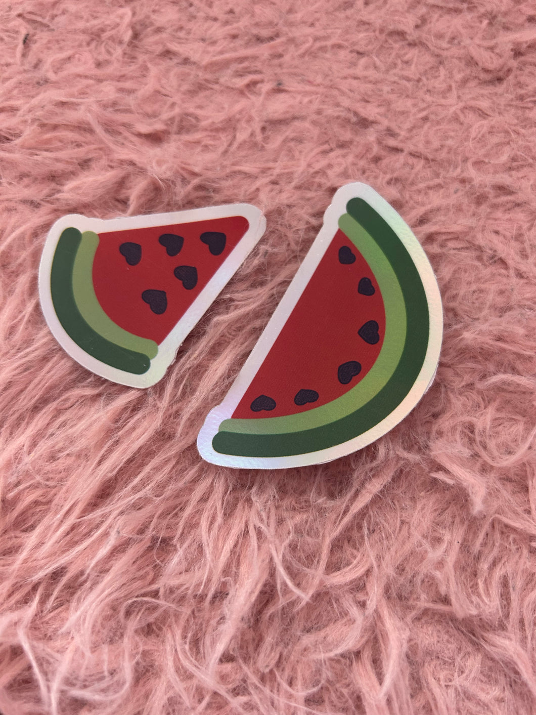 Set of 2 Watermelon stickers