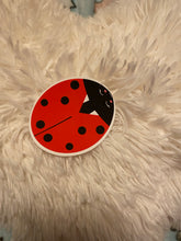 Load image into Gallery viewer, Ladybird sticker
